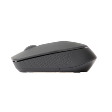 Load image into Gallery viewer, Rapoo M100 Silent Multi-mode Mouse