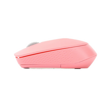 Load image into Gallery viewer, Rapoo M100 Silent Multi-mode Mouse