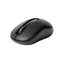 Load image into Gallery viewer, Rapoo M10 Plus Wireless Optical Mouse