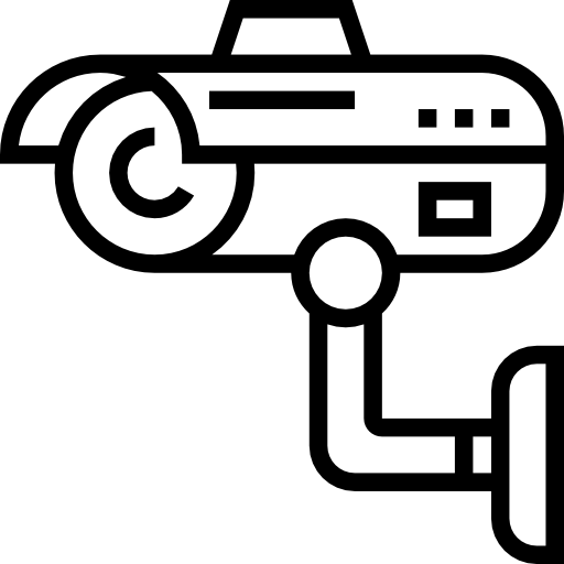 Surveillance Security Icon